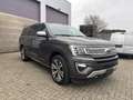 Ford Expedition platinum / lichte vracht / lpg Bronze - thumbnail 1