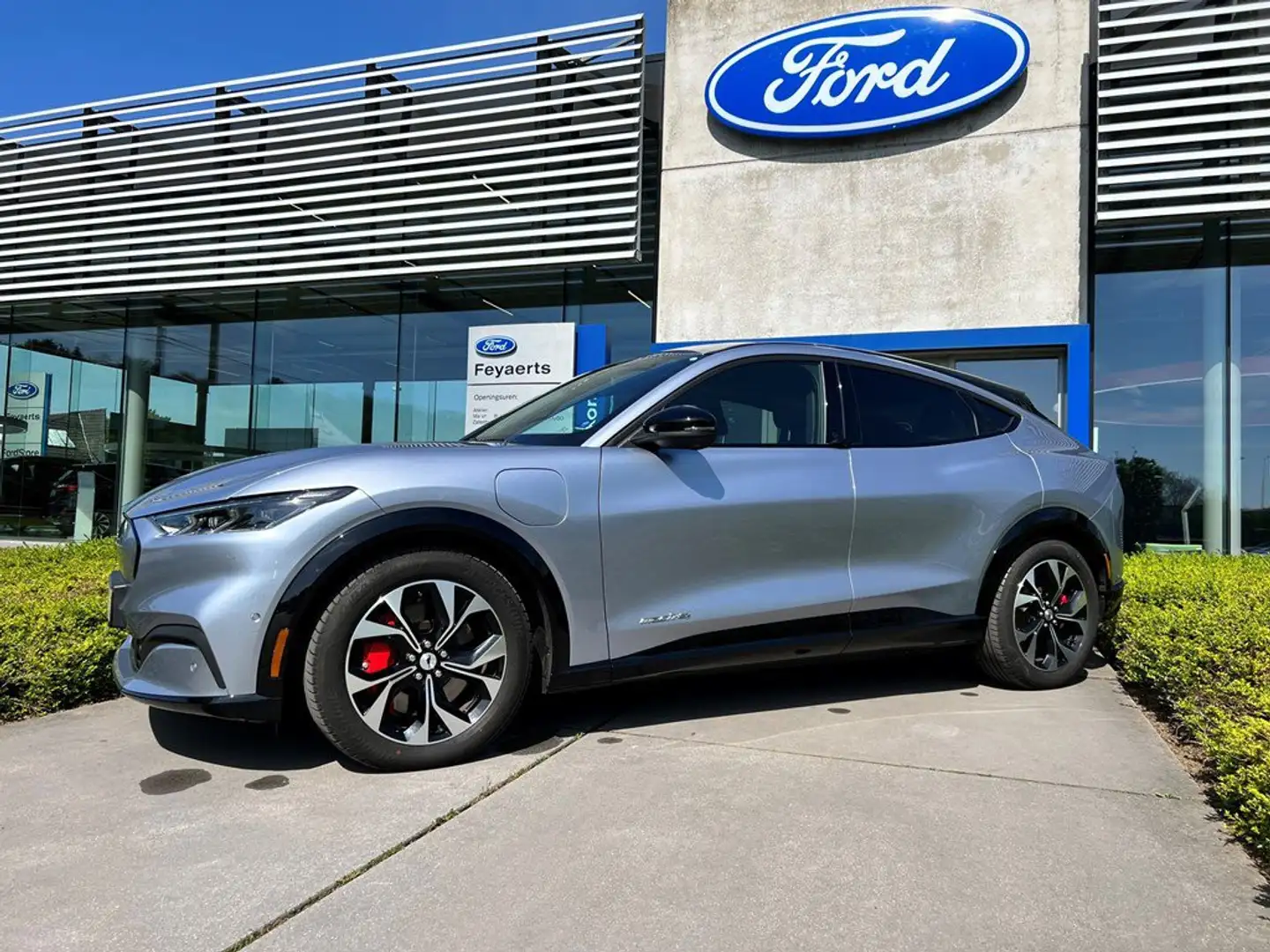 Ford Mustang Mach-E AWD 76kWh Standard Range met 269 PK Bleu - 2
