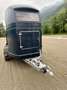 Trailer-Anhänger Sonstige Top Westfalia Jupiter 2-Pferdeanhänger - Generalüb - thumbnail 6