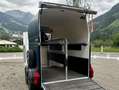 Trailer-Anhänger Sonstige Top Westfalia Jupiter 2-Pferdeanhänger - Generalüb - thumbnail 16