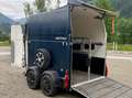 Trailer-Anhänger Sonstige Top Westfalia Jupiter 2-Pferdeanhänger - Generalüb - thumbnail 2