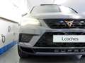 CUPRA Ateca 2.0 TSI 300 LIMITED ED. CON AKRAPOVIC DSG 4DRIVE Gris - thumbnail 8