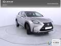 Lexus NX 300 300h Business 2WD Gris - thumbnail 22