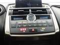 Lexus NX 300 300h Business 2WD Gris - thumbnail 16