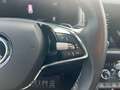 Skoda Kodiaq 2,0 TDI Style SC DSG Schwarz - thumbnail 17