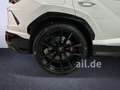Lamborghini Urus MATRIX MASSAGE / PANORAMA / 4-ZONEN / DAB Weiß - thumbnail 24