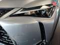 Lexus UX 250h 250h Luxe 2WD Gri - thumbnail 13