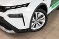 Skoda Elroq 85 Lodge Klima Navi Rückfahrkamera Kurvenlicht Weiß - thumbnail 3