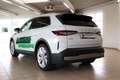 Skoda Elroq 85 Lodge Klima Navi Rückfahrkamera Kurvenlicht Weiß - thumbnail 2