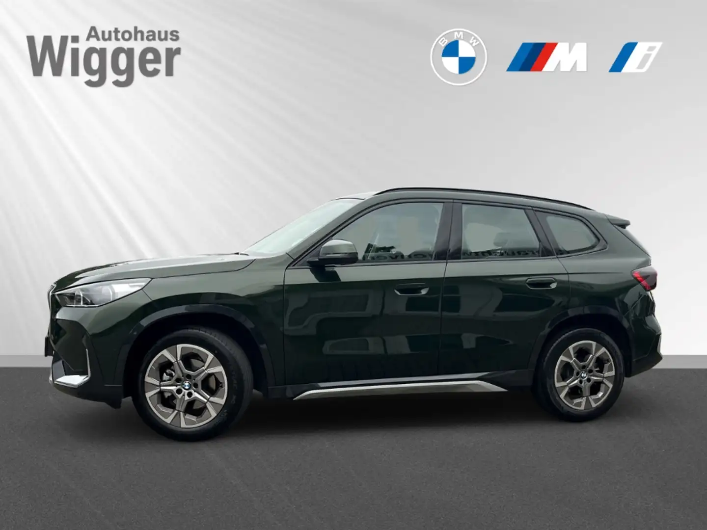 BMW X1 xDrive 20d xLine/AHK/Navi/HarmanKardon/LED Grün - 2