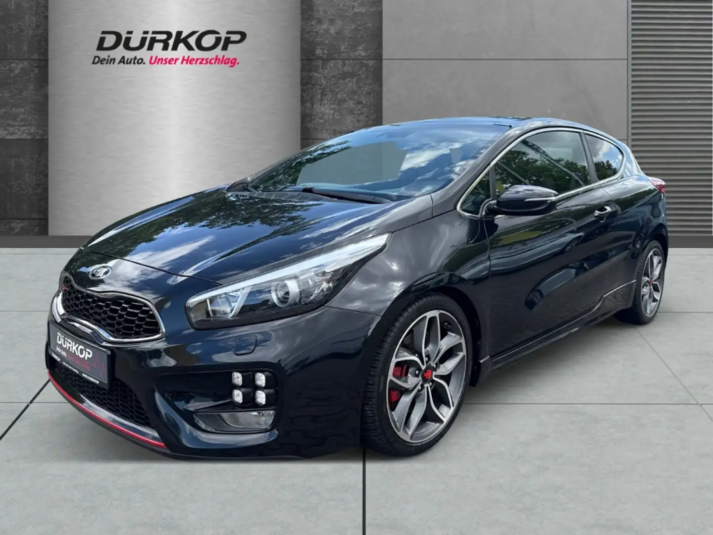 Kia ProCeed / pro_cee'd 1.6 T-GDi GT-Track*Panorama*Kamera*Allwetter*Navi* Noir - 1