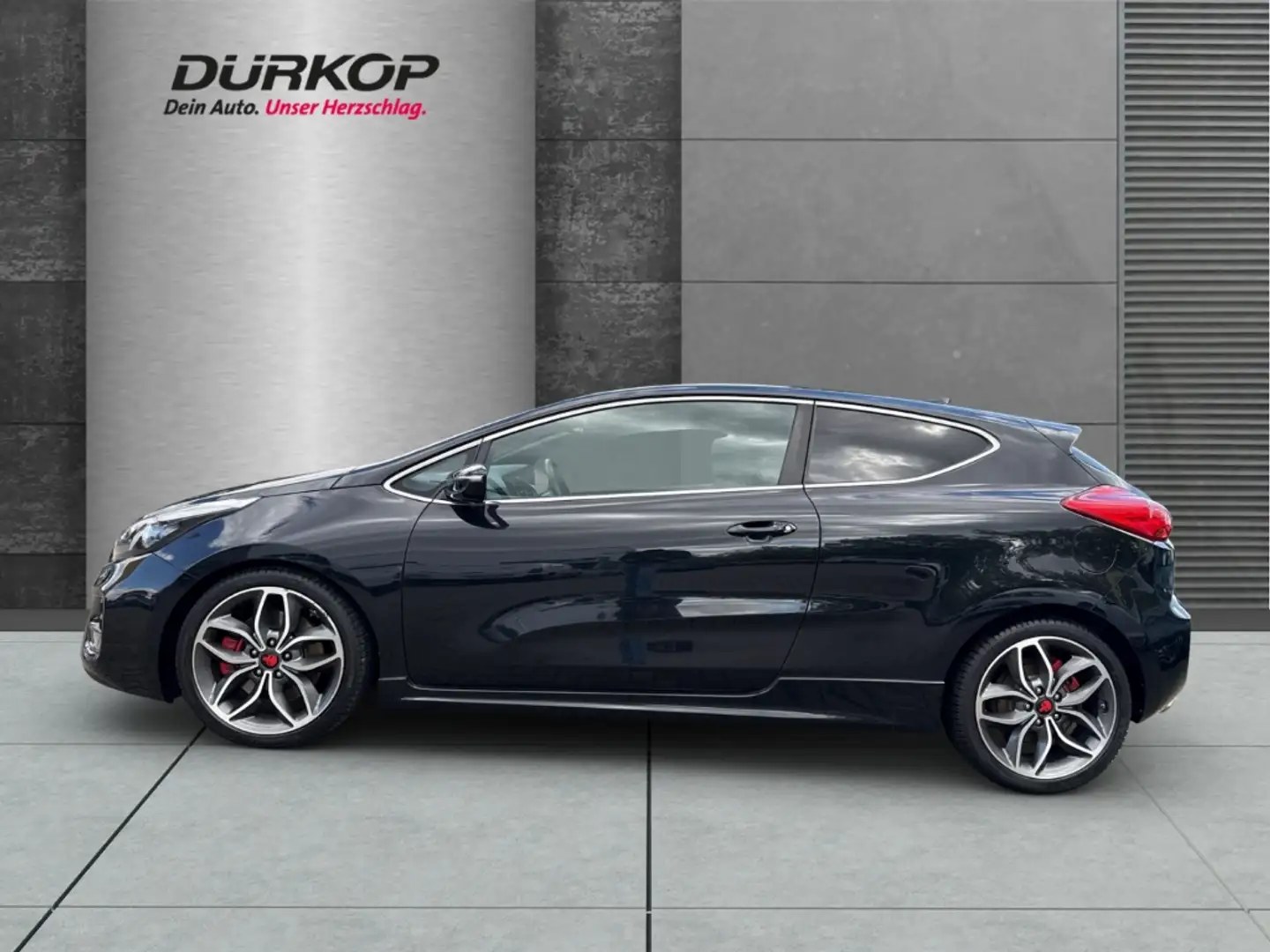 Kia ProCeed / pro_cee'd 1.6 T-GDi GT-Track*Panorama*Kamera*Allwetter*Navi* Noir - 2
