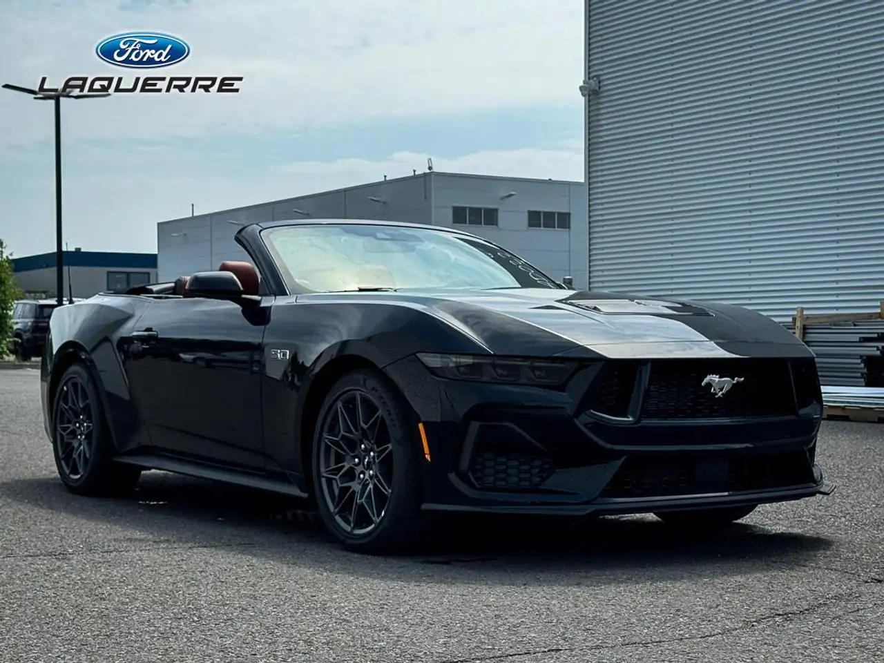 Ford Mustang fotografie Ford Mustang