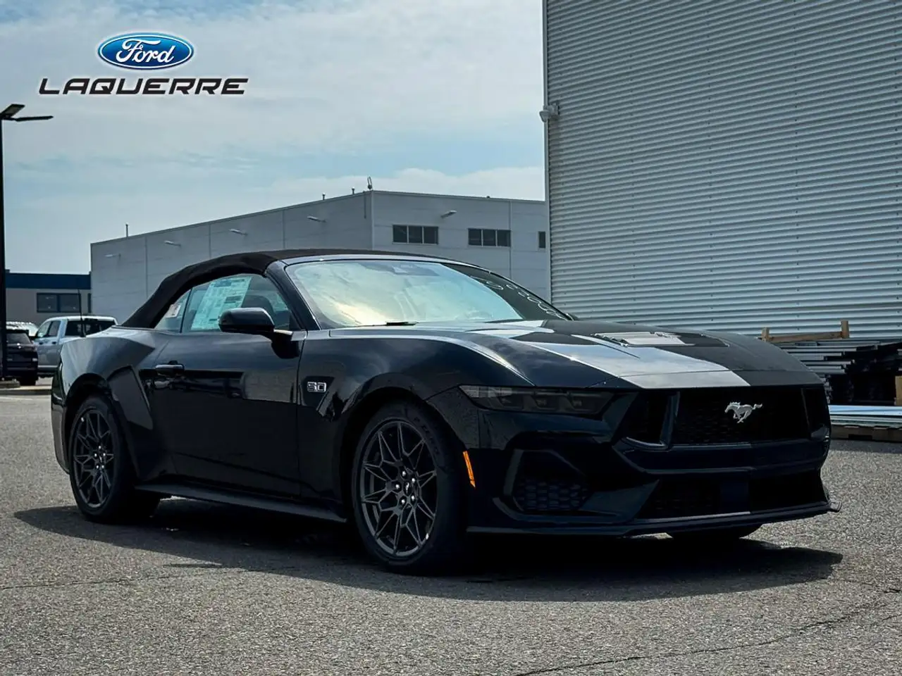 Ford Mustang fotografie Ford Mustang