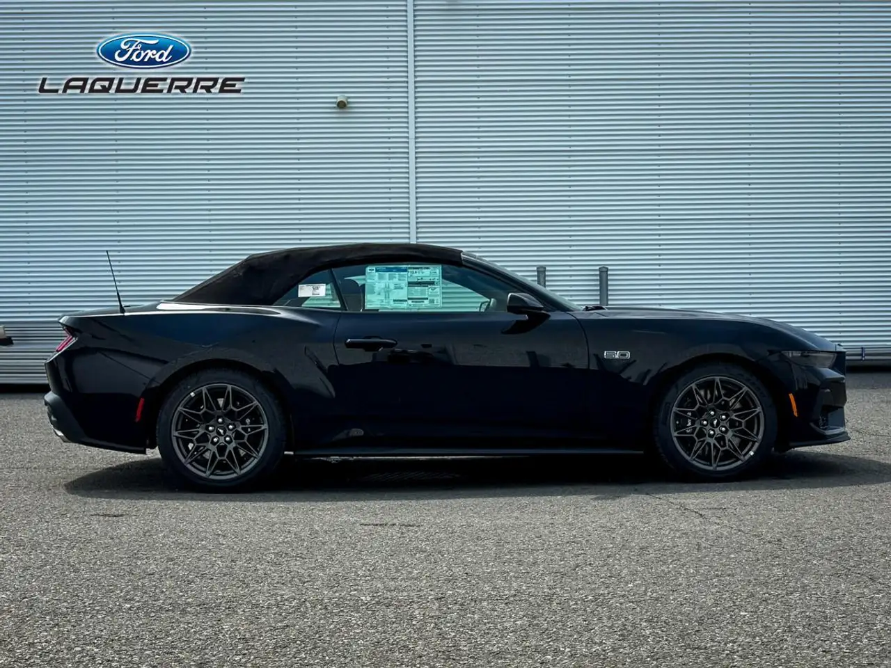 Ford Mustang fotografie Ford Mustang