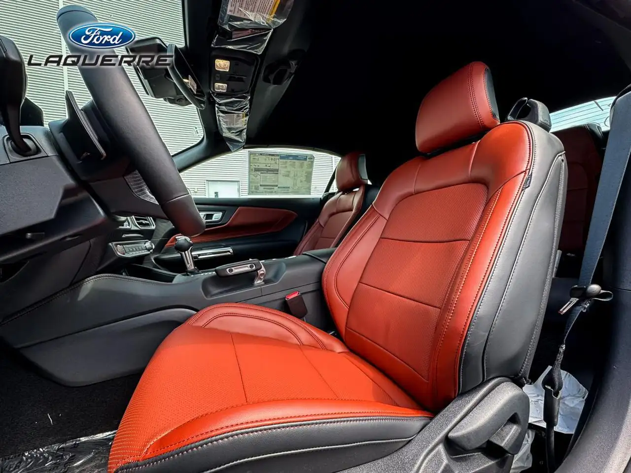 Ford Mustang fotografie Ford Mustang
