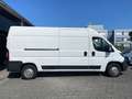 Peugeot Boxer Kasten Hochraum 335 L3H2 Pro Avantage Weiß - thumbnail 5