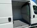 Peugeot Boxer Kasten Hochraum 335 L3H2 Pro Avantage Weiß - thumbnail 16