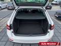 Skoda Superb Combi Ambition 2.0 TDI Alu Navi Klimaautomatik Weiß - thumbnail 6