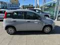 Fiat Panda Panda III 2021 1.2 easypower City Life Gpl s Grigio - thumbnail 2