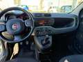 Fiat Panda Panda III 2021 1.2 easypower City Life Gpl s Grigio - thumbnail 7