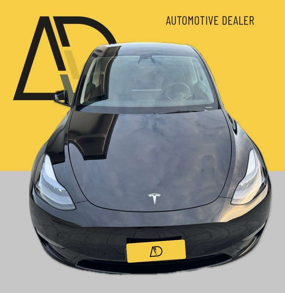 Tesla Model Y Long Range Dual Motor awd
