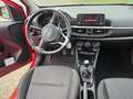 Kia Picanto 1.0 Vision Rot - thumbnail 11