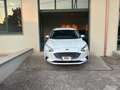 Ford Focus Focus 1.5 EcoBlue 120 CV SW Business Bianco - thumbnail 8