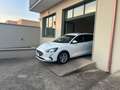Ford Focus Focus 1.5 EcoBlue 120 CV SW Business Bianco - thumbnail 9