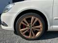 Skoda Octavia Combi RS, DSG Zylinder Kopfdichtung deff Weiß - thumbnail 8