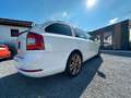 Skoda Octavia Combi RS, DSG Zylinder Kopfdichtung deff Weiß - thumbnail 4