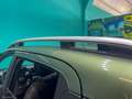 Fiat Panda Cross 1.0 FireFly S&S Hybrid Grün - thumbnail 32