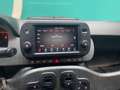 Fiat Panda Cross 1.0 FireFly S&S Hybrid Grün - thumbnail 19