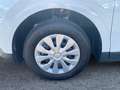 Ford Tourneo Courier 1.0 EcoBoost Trend AHK SHZ PDC Weiß - thumbnail 13