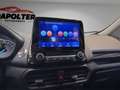 Ford EcoSport Titanium 1.0 EcoBoost/Keyless/Kamera/Leder/Bang&O Silber - thumbnail 24
