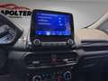 Ford EcoSport Titanium 1.0 EcoBoost/Keyless/Kamera/Leder/Bang&O Silber - thumbnail 26