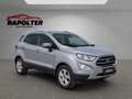 Ford EcoSport Titanium 1.0 EcoBoost/Keyless/Kamera/Leder/Bang&O Silber - thumbnail 7