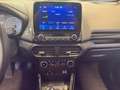 Ford EcoSport Titanium 1.0 EcoBoost/Keyless/Kamera/Leder/Bang&O Silber - thumbnail 23