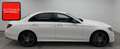 Mercedes-Benz E 400 d 4M AMG NIGHT MEMO+SOFT+360+AHK+STANDHZG+ Blanco - thumbnail 5