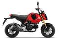Honda MSX 125 Grom #2023 #Aktion Czerwony - thumbnail 1