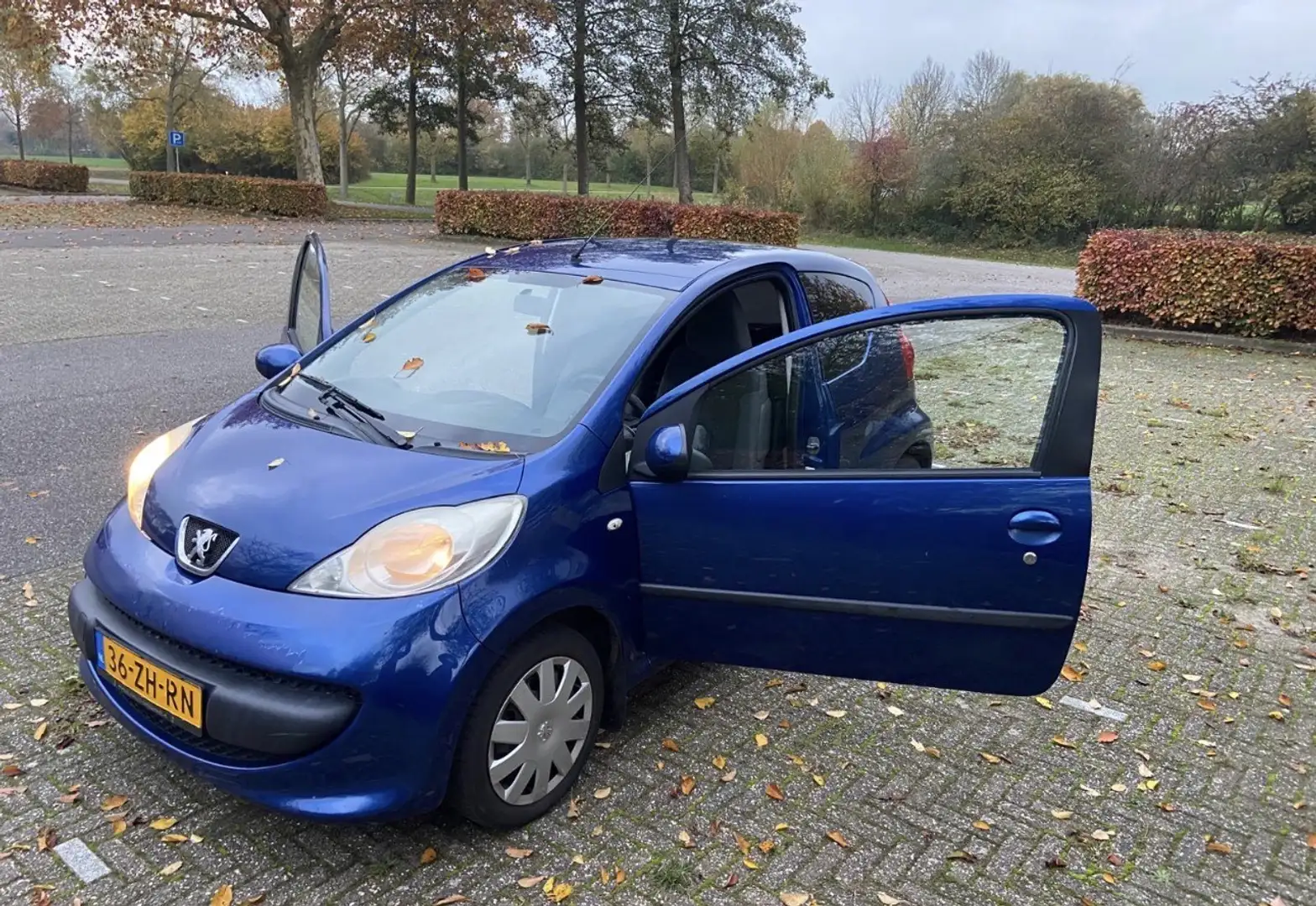 Peugeot 107 1.0-12V XS Blauw - 2