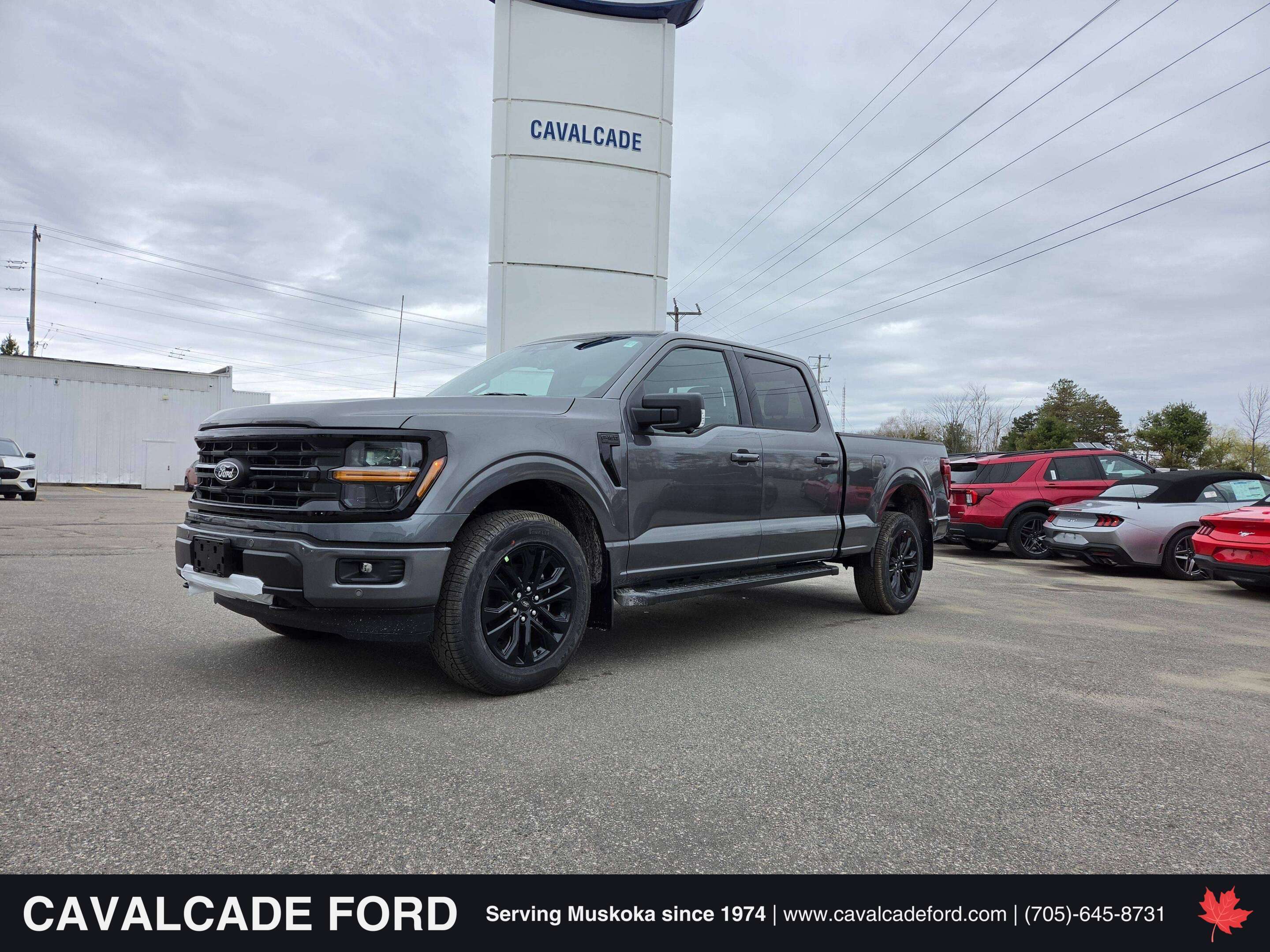 Gray 2026 Ford F-150 Pickup Truck Four-Wheel Drive Automatic