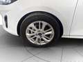 Ford Fiesta 5p 1.1 Titanium 75cv Bianco - thumbnail 5