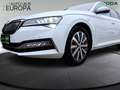 Skoda Superb Combi 1.4 TSI iV DSGStyle AHK ACC StandHZ Kam360 N Weiß - thumbnail 6