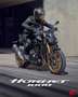 Honda Hornet - thumbnail 9