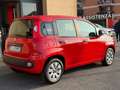 Fiat Panda 1.2 Easy  5 POSTI (NESSUN VINCOLO) Rouge - thumbnail 6