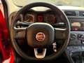 Fiat Panda 1.2 Easy  5 POSTI (NESSUN VINCOLO) Rouge - thumbnail 12