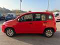 Fiat Panda 1.2 Easy  5 POSTI (NESSUN VINCOLO) Rouge - thumbnail 15