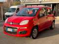 Fiat Panda 1.2 Easy  5 POSTI (NESSUN VINCOLO) Rouge - thumbnail 3