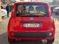 Fiat Panda 1.2 Easy  5 POSTI (NESSUN VINCOLO) Rouge - thumbnail 5